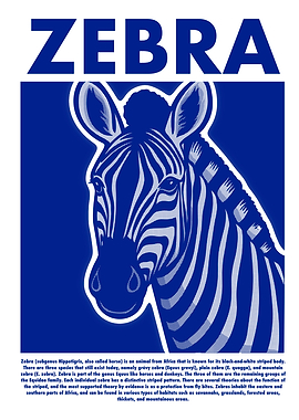Zebra Illustration in Blue and White