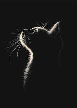 Silhouette of a Cat Looking Up
