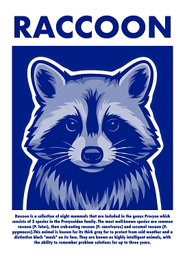 Raccoon Portrait in Blue