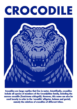 Crocodile Illustration