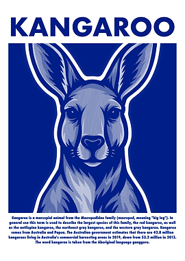 Kangaroo Illustration - Blue and White