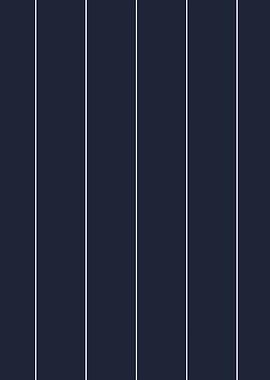 Navy and White Vertical Stripes