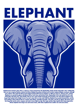 Elephant Illustration in Blue