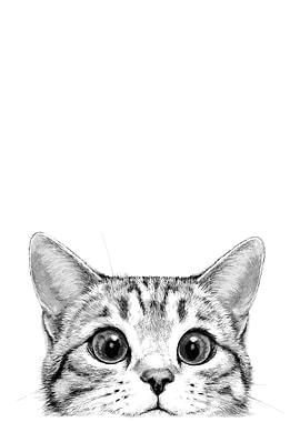 Peeking Cat Portrait