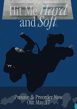 Hit Me Hard and Soft Album