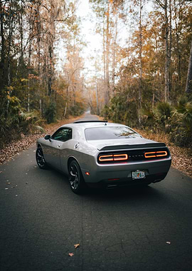 Silver Dodge Challenger on Forest Road