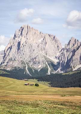 Mountain Landscape with Meadow and Cabins