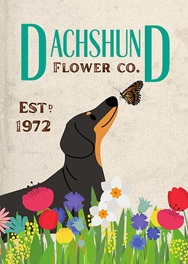 Dachshund Flower Vintage