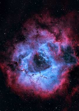 The Rosette Nebula