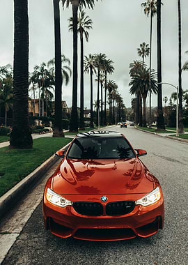 Orange BMW on Palm Tree Lined Street