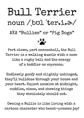 Bull Terrier Funny Definition