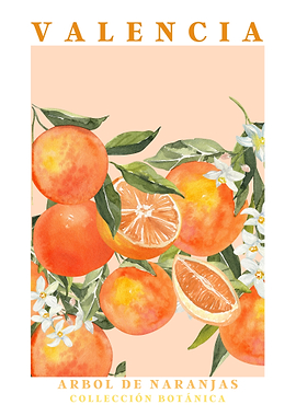 Valencia Orange Tree Botanical Collection