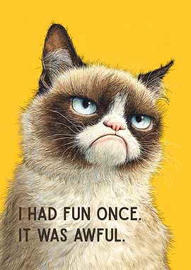 I Had Fun Once. It Was Awful.