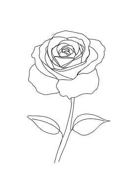 Rose Minimalist Line Art