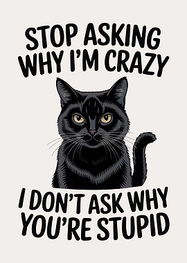 Crazy Cat Sarcastic Quote