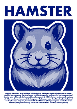 Hamster Illustration