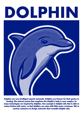 Dolphin Illustration with Text