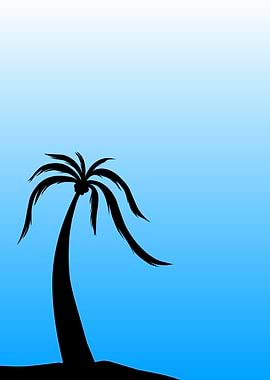 Silhouette of a Palm Tree