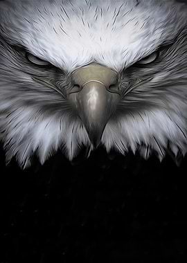 Eagle Portrait with Intense Gaze