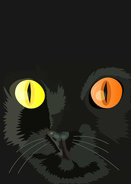 Black Cat with Heterochromia Illustration