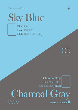 Sky Blue and Charcoal Gray Color Palette