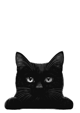 Black Cat Portrait