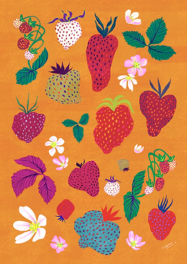 STRAWBERRIES (ORANGE)