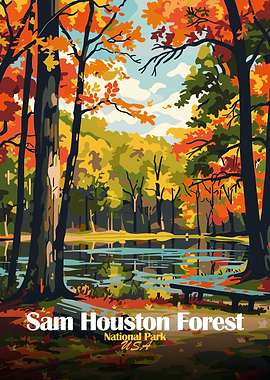 Sam Houston Forest National Park