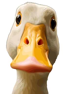 Close-up Duck Portrait