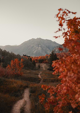 Autumn Mountain Trail Landscape