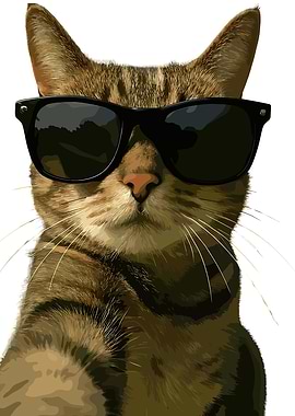 Cool Cat with Sunglasses