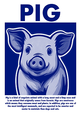 Blue Pig Illustration with Text