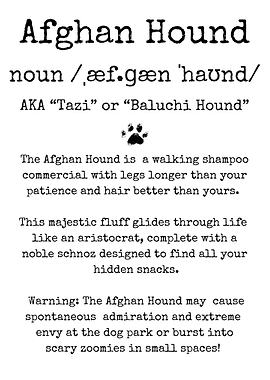 Afghan Hound Funny Definition