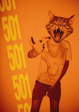 I don't give a meow!