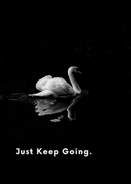 Swan in Black and White