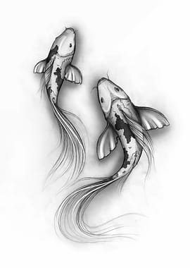 Two Koi Fish Pencil Drawing