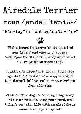 Airedale Terrier Funny Definition Print