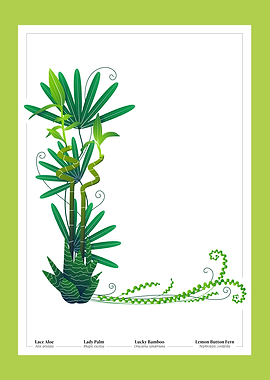 Botanical Illustration of the Letter 'L'