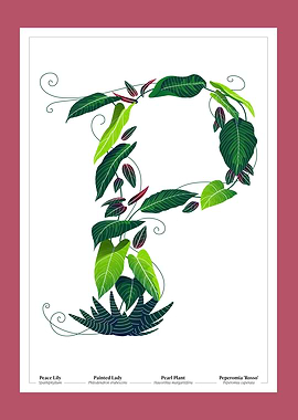 Botanical Illustration of the Letter 'P'