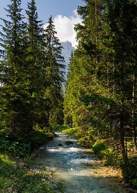 Mountain Stream Through Forest