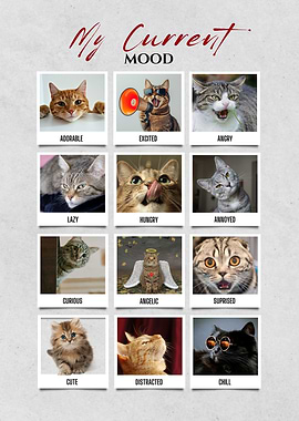 Cats Mood Chart