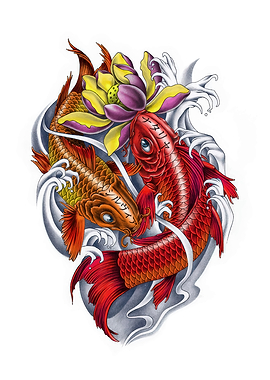 Koi Fish and Lotus Flower Illustration