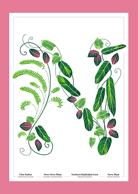 Botanical Illustration of the Letter 'N'