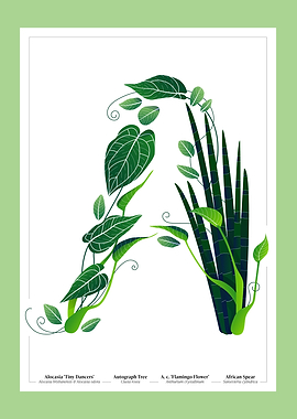 Botanical Illustration of the Letter 'A'