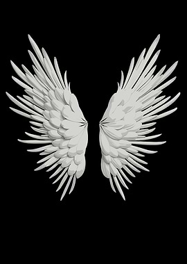 White Angel Wings on Black Background