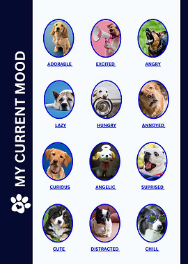 Dogs expressing different moods