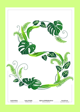 Botanical Illustration of the Letter 'S'