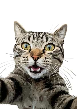 Surprised Tabby Cat Portrait