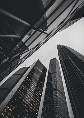 Monochrome Skyscrapers View from Below