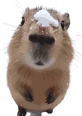 Capybara with Snow on Head